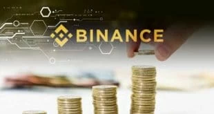 profitti binance 2019