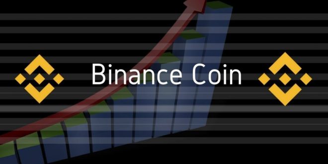 binance coin
