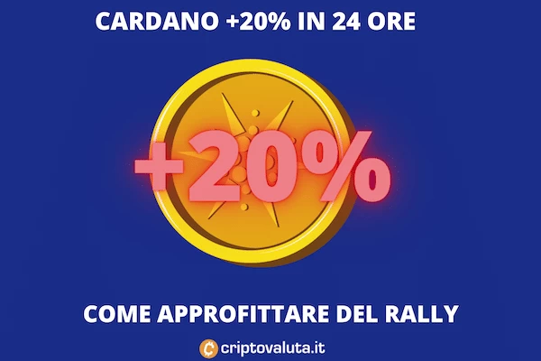 Cardano fa il più 20% in 24 ore