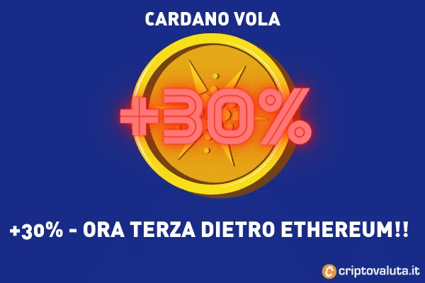 Cardano performance