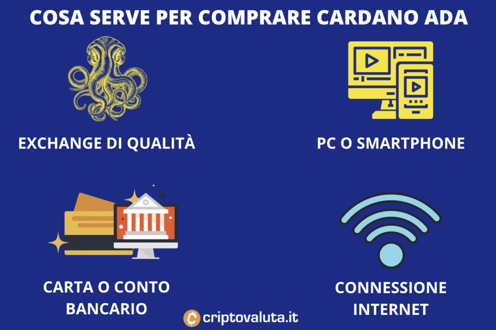 Cardano comprare requisiti - infografica