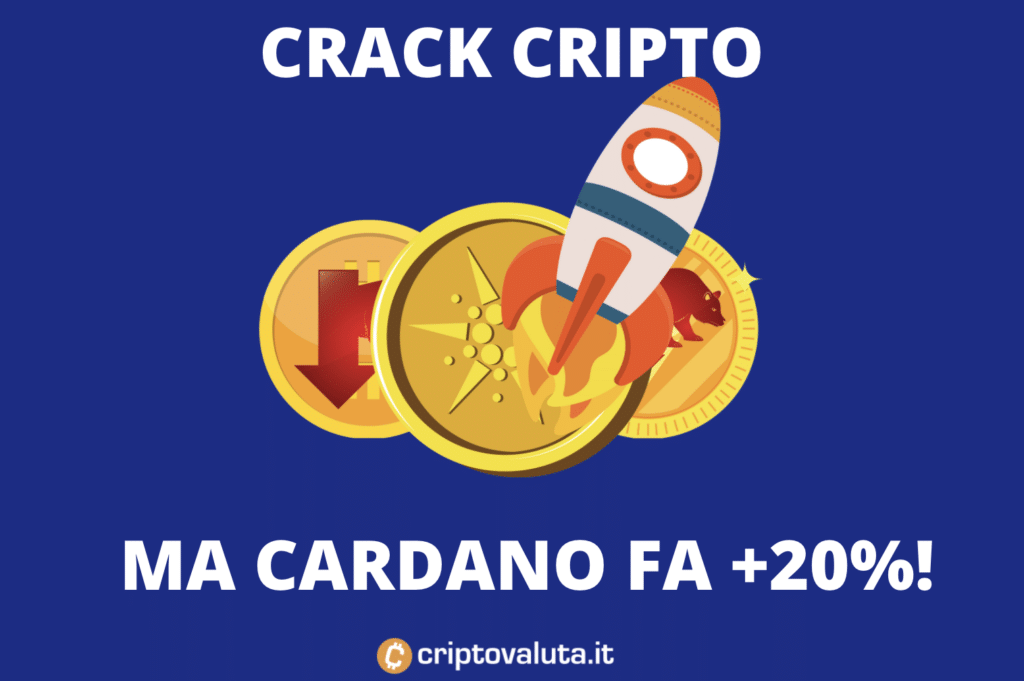 Cardano +20 con mercato bearish