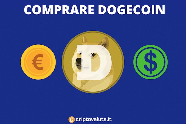 Guida di Criptovaluta.it all'acquisto di Doge - con infografiche e approfodnimenti