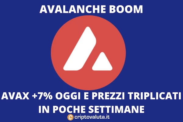 Avalanche boom investimento