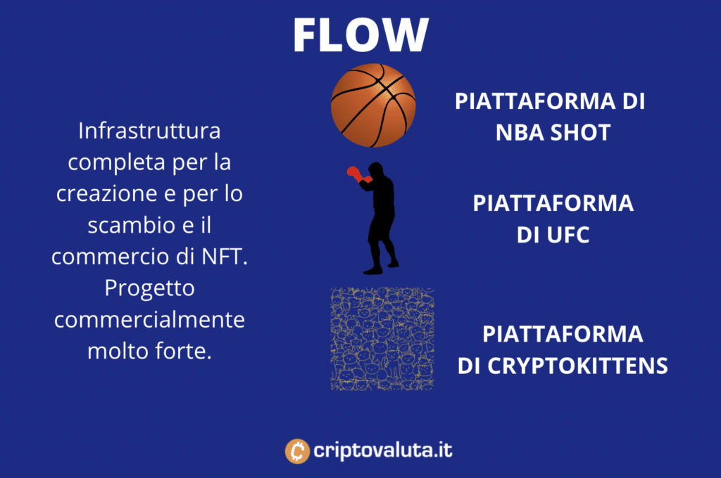 Flow - scheda riassuntiva infografica a cura di Criptovaluta.it