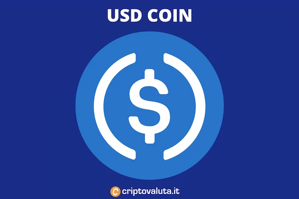 Guida di Criptovaluta.it a USDC