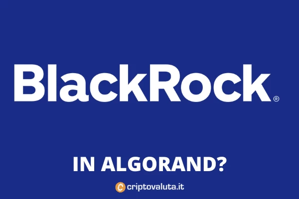 Rumor Blackrock Algorand
