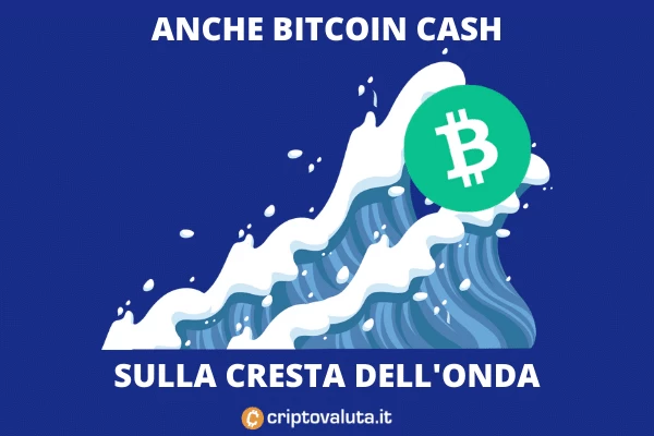 bitcoin Crash boom sopra i 900$