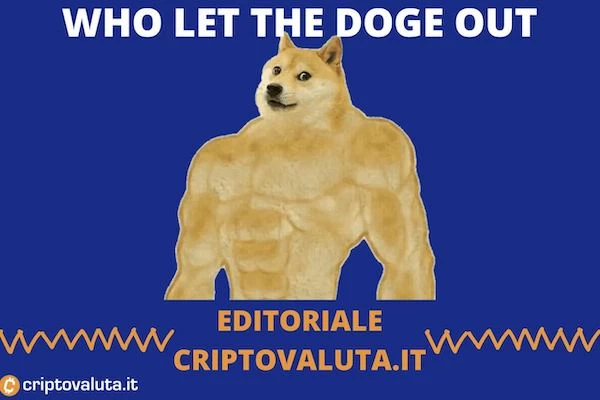 Dogecoin news settimanale