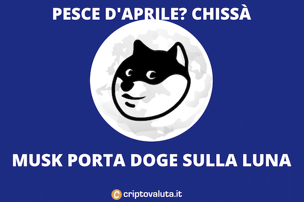 Sulla luna con Elon Musk: vola Dogecoin, anche se potrebbe essere...