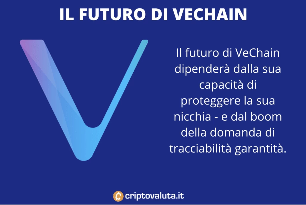 Esperti e analisti - futuro di VeChain - a cura di Criptovaluta.it