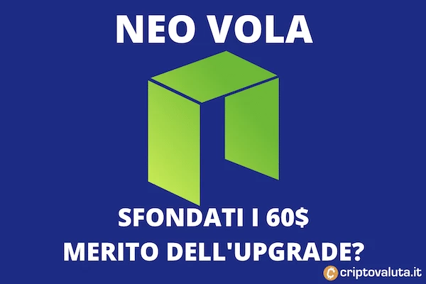 NEO vola, anche grazie all'arrivo di N3