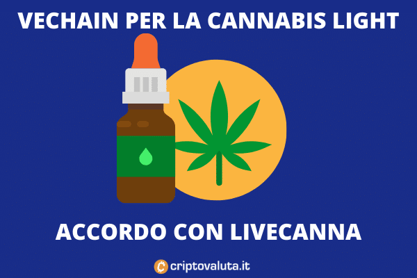 VeChain cannabis light