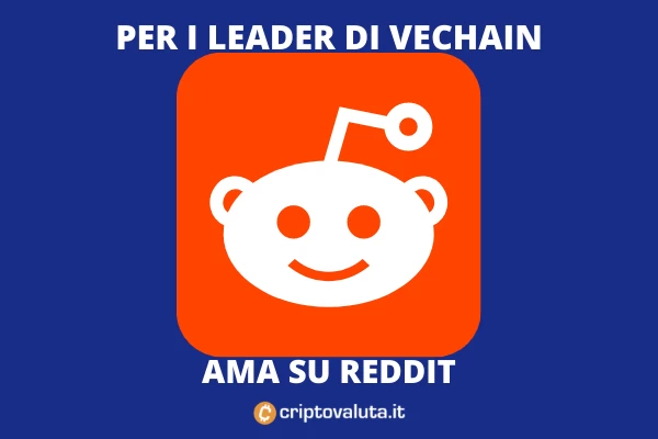 Reddit AMA Sunny Lu