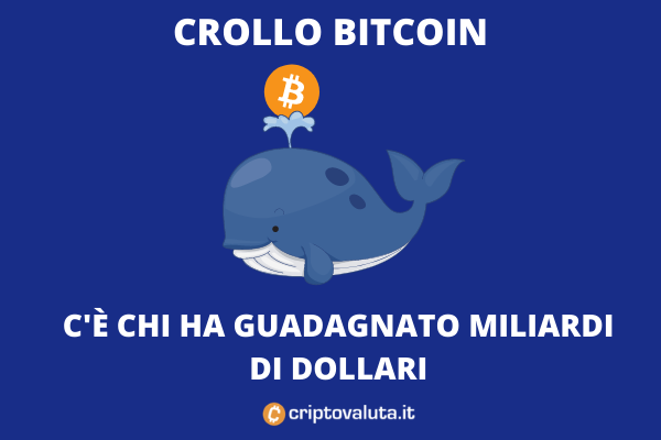 Bitcoin: ecco chi ha comprato durante il crollo