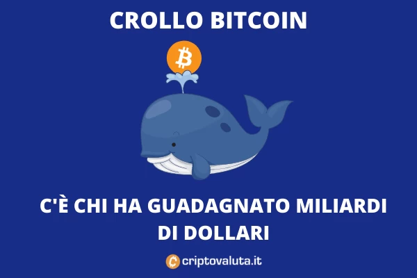Balene Bitcoin - compere durante il crash