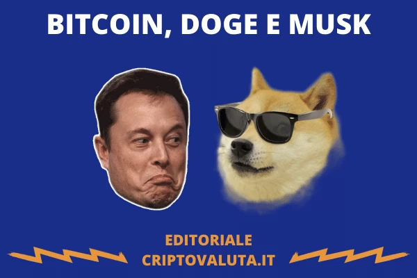 DOGE TESLA MUSK - editoriale Criptovaluta.it.