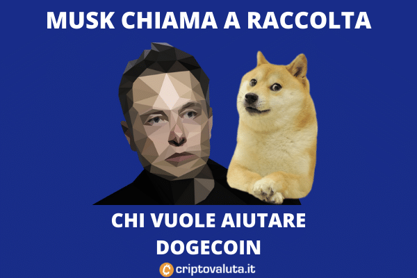 Musk torna su Dogecoin: aiutate lo sviluppo
