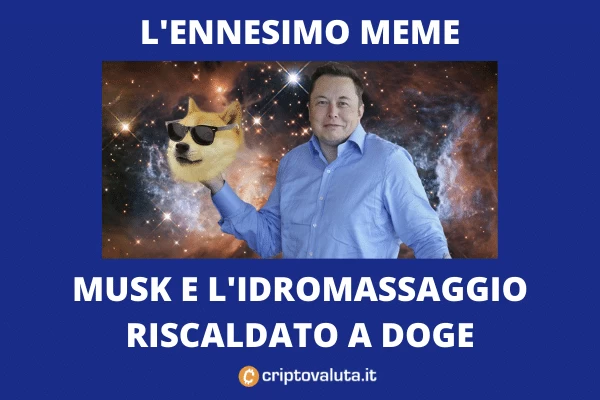 Musk DOGE MEME - ultima trovata - analisi di Criptovaluta.it