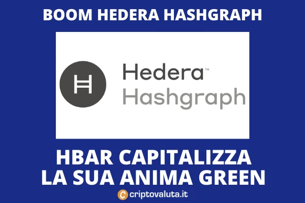 HBAR vola - ecco i motivi nell'analisi di Criptovaluta.it