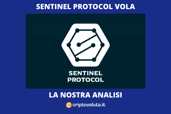 Sentinel Protocol - introduzione al protocollo di Criptovaluta.it