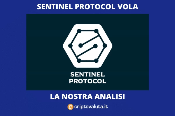 Sentinel Protocol - introduzione al protocollo di Criptovaluta.it