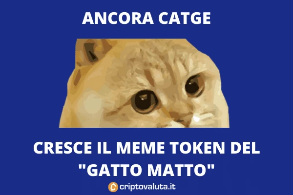 Crescita Catge - a cura di Criptovaluta.it