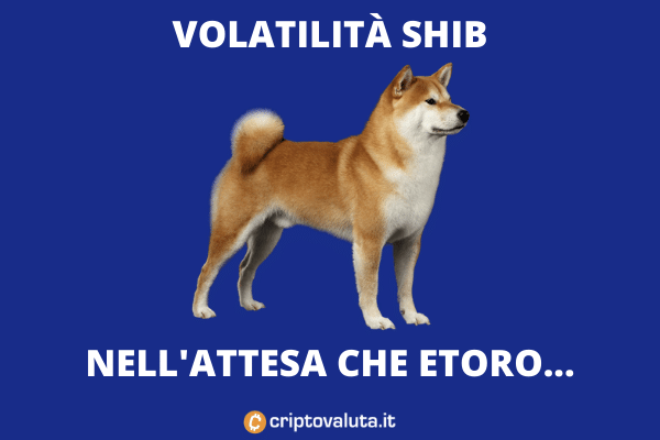eToro Quotazione Shib Coinbase - conseguenze - di Criptovaluta.it