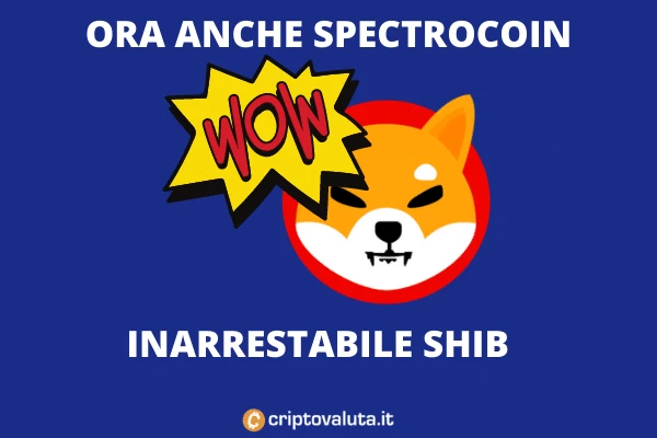SHIB su SpectroCoin - analisi di Criptovaluta.it