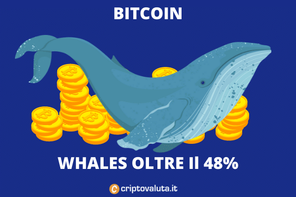 Whales accumulano oltre il 48% del totale - la nostra analisi.