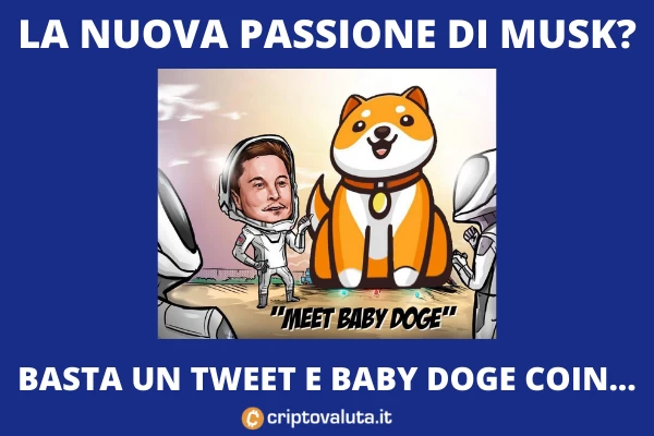 Tweet Musk Baby Doge Coin