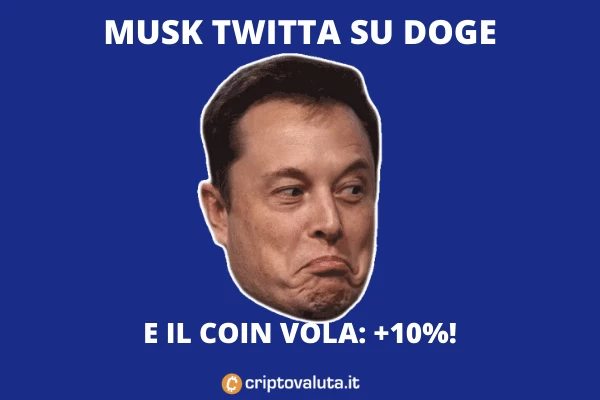 Musk tweet su Doge - +10%