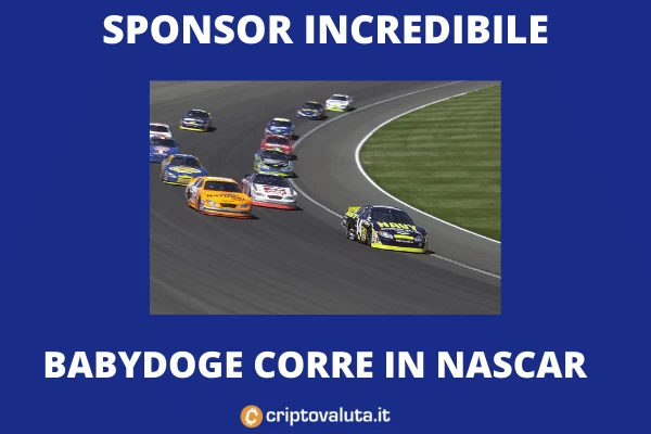 BabyDoge - correrà in Nascar nella prossima gara