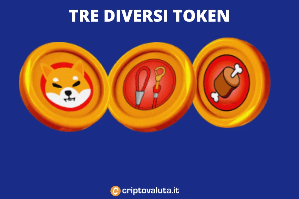 Tre Diversi Token SHIB - a cura di Criptovaluta.it