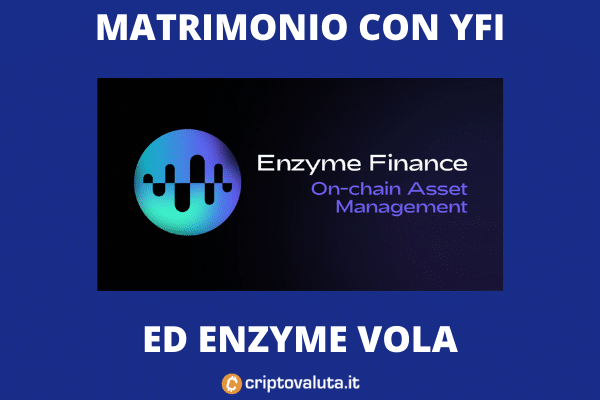 Enzyme fondi management - la nostra analisi