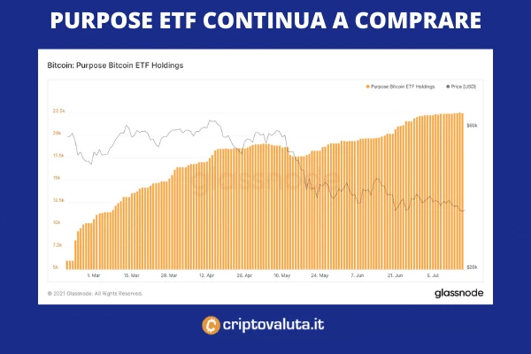 Purpose ETF compra nuovi Bitcoin