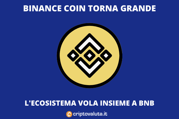 Binance Coin In Double Digits D1softballnews Com