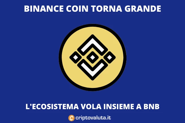 Binance Coin Run - di Criptovaluta.it