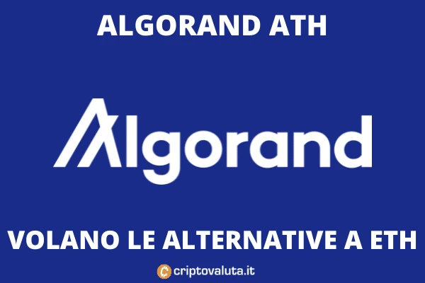 Algorand massimo storico - analisi di Criptovaluta.it