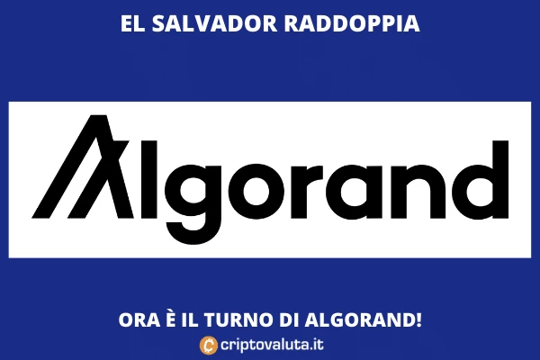 El Salvador chiude accordo con Algorand - e il token vola