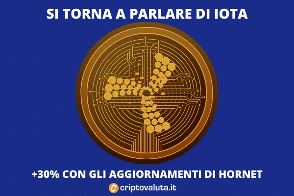 IOTA vola sul mercato - ecco perché nell'analisi di Criptovaluta.it