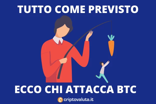 Bitcoin manipolazioni - analisi di Criptovaluta.it