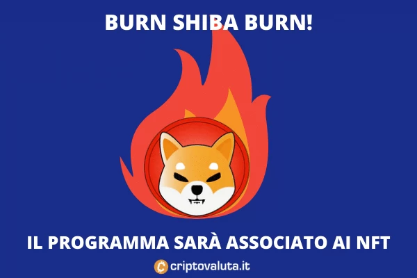 Burn Shib - l'analisi con NFT di Criptovaluta.it