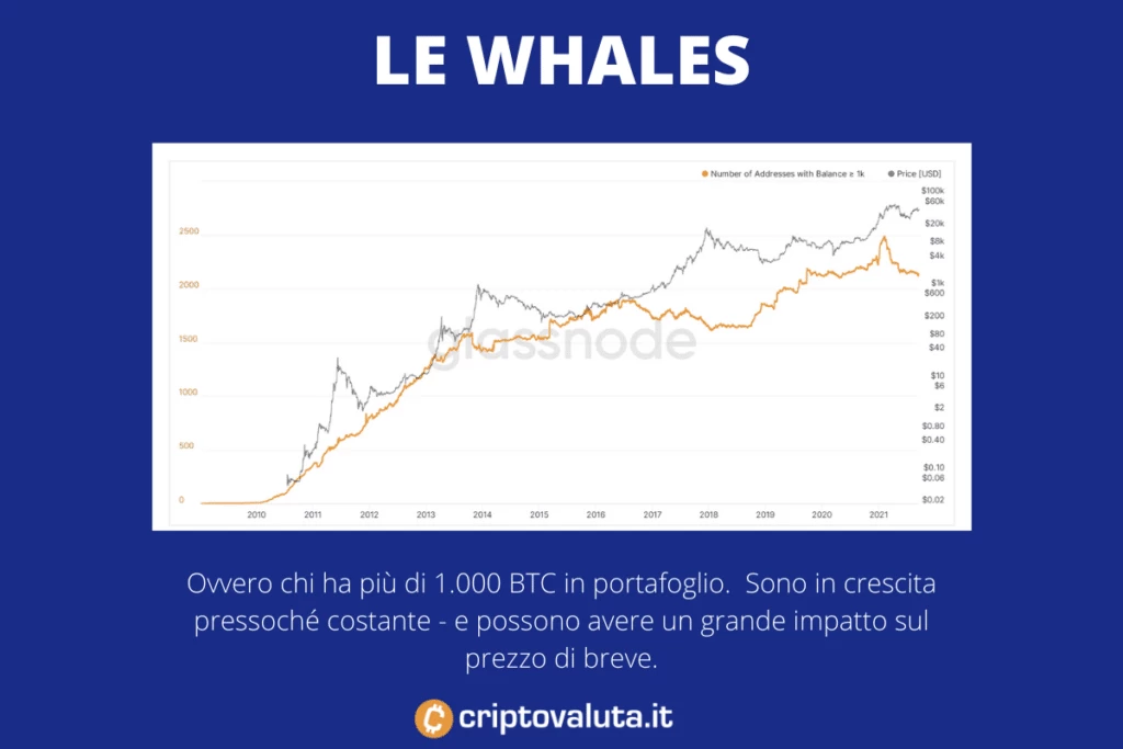 Whales Bitcoin - il loro vero impatto - 