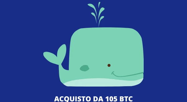 Bitcoin Balena - compra 105 BTC