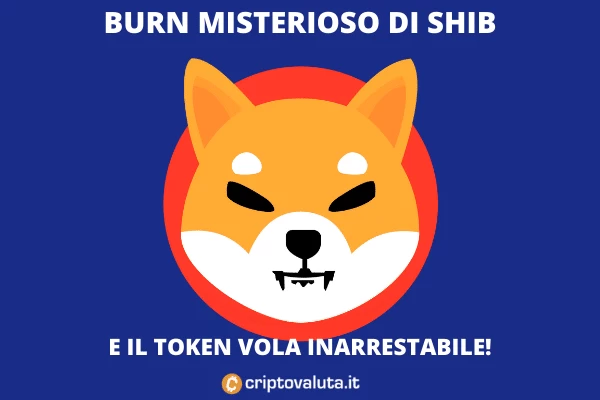 Burn di Shiba innesca bull run - l'analisi di criptovaluta.it