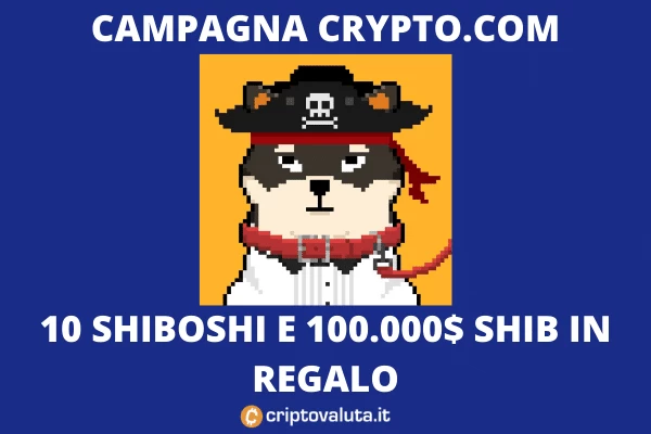 Shiboshi - campagna regalo di Crypto.com