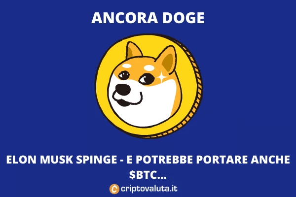 Dogecoin e Bitcoin al top - l'analisi della bull run