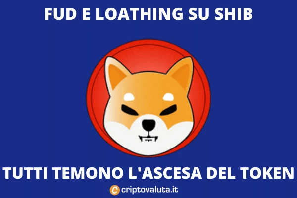 I soliti noti su SHIB - la nostra analisi completa