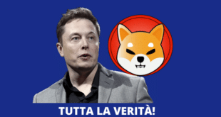 Elon Musk parla di Shiba Inu Coin | Occhio! Ecco la verità [VIDEO]
